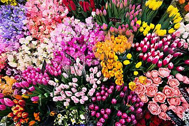 索尼为未来收购划拨115亿美元巨额预算 谁将被收购？